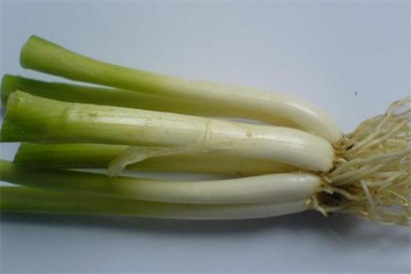 蔥白水是用大蔥還是小蔥 煮蔥白水用什么蔥 蔥白水是用大蔥還是小蔥 煮蔥白水用什么蔥