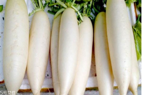 白蘿卜有什么功效呢 白蘿卜的好處有什么 白蘿卜有什么功效呢 白蘿卜的好處有什么