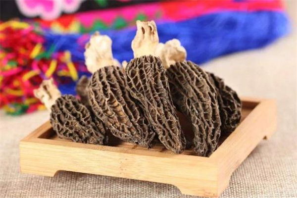 羊肚菌一次吃多少合適 羊肚菌吃多了會上火嗎 羊肚菌一次吃多少合適 羊肚菌吃多了會上火嗎