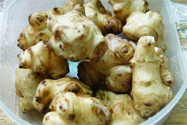 洋姜發(fā)芽了還能吃嗎 洋姜發(fā)芽了有毒嗎 洋姜發(fā)芽了還能吃嗎 洋姜發(fā)芽了有毒嗎