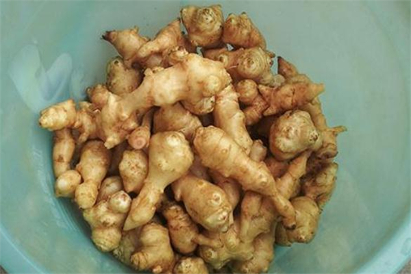 洋姜為什么會變黑 洋姜怎么腌制不發(fā)黑