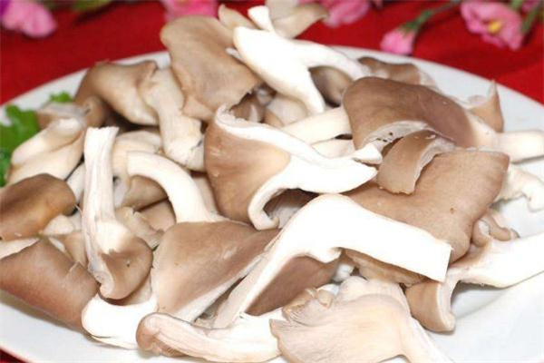 平菇變綠了還能吃嗎 平菇變綠是怎么回事 平菇變綠了還能吃嗎 平菇變綠是怎么回事