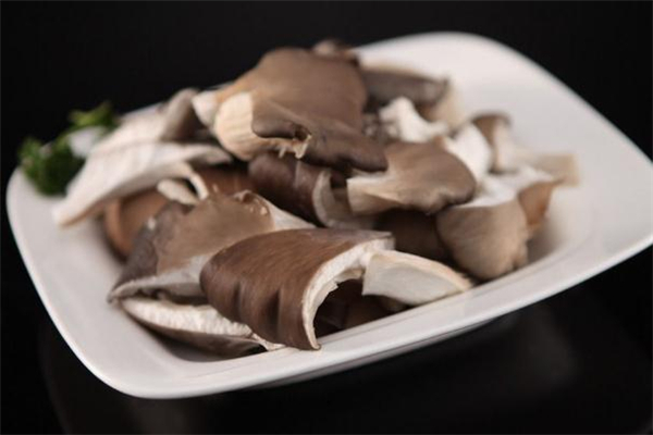 高血壓可以吃平菇嗎 高血壓吃平菇有什么好處 高血壓可以吃平菇嗎 高血壓吃平菇有什么好處