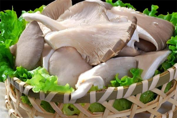 高血壓可以吃平菇嗎 高血壓吃平菇有什么好處 高血壓可以吃平菇嗎 高血壓吃平菇有什么好處