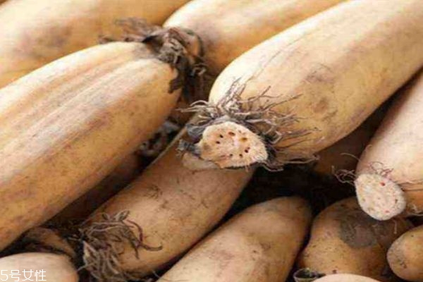 蓮藕有什么作用呢 蓮藕的功效有什么呢 蓮藕有什么作用呢 蓮藕的功效有什么呢