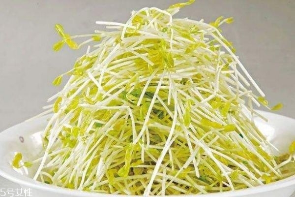 豆芽有什么作用呢 綠豆芽有什么作用呢 豆芽有什么作用呢 綠豆芽有什么作用呢