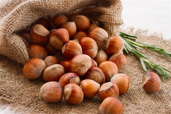 榛子和開心果哪個(gè)熱量高 榛子和開心果哪個(gè)減肥
