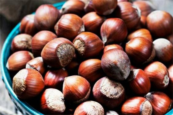 榛子和榴蓮能一起吃嗎 吃完榴蓮可以吃榛子嗎 榛子和榴蓮能一起吃嗎 吃完榴蓮可以吃榛子嗎