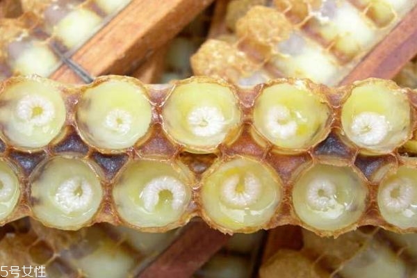 蜂王漿的功效有什么呢 蜂王漿應(yīng)該怎么儲藏呢 蜂王漿的功效有什么呢 蜂王漿應(yīng)該怎么儲藏呢