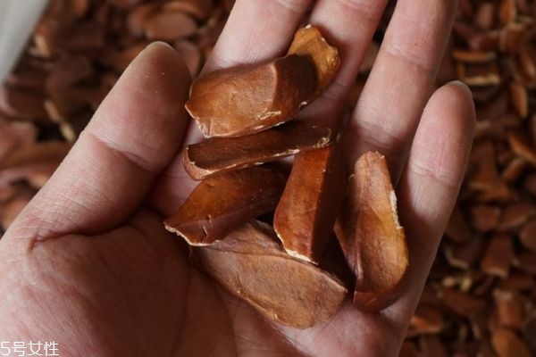 向天果是什么呢 向天果可以吃嗎 向天果是什么呢 向天果可以吃嗎