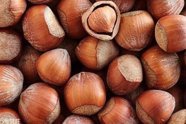 什么是榛子呢 榛子有什么功效呢 什么是榛子呢 榛子有什么功效呢