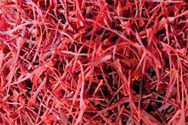 藏紅花變質什么樣子 怎么看藏紅花有沒有變質 藏紅花變質什么樣子 怎么看藏紅花有沒有變質