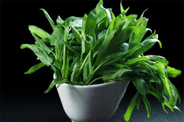 空心菜熱量是多少 吃空心菜可以減肥嗎 空心菜熱量是多少 吃空心菜可以減肥嗎