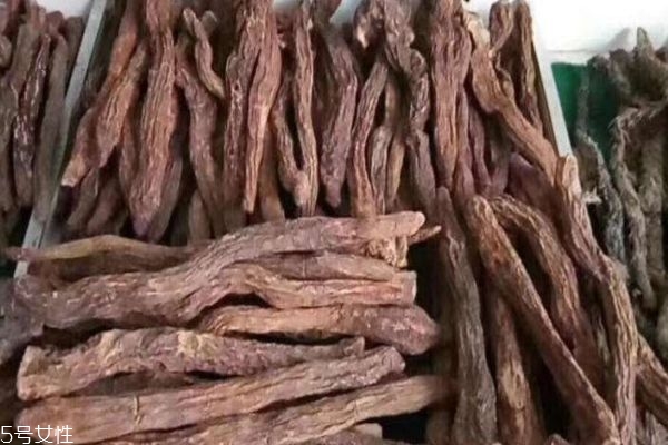 什么是鎖陽呢 鎖陽有什么作用呢 什么是鎖陽呢 鎖陽有什么作用呢