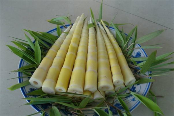 竹筍是發(fā)物嗎 曬干的竹筍是發(fā)物嗎 竹筍是發(fā)物嗎 曬干的竹筍是發(fā)物嗎