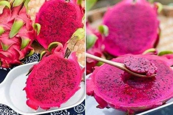 火龍果的熱量有多高呢 火龍果有什么價值呢 火龍果的熱量有多高呢 火龍果有什么價值呢