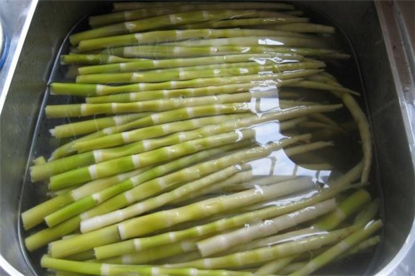 竹筍怎么焯水 竹筍一定要焯水嗎 竹筍怎么焯水 竹筍一定要焯水嗎