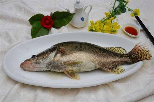 桂魚和鮭魚是一種魚嗎 桂魚和鮭魚的區(qū)別 桂魚和鮭魚是一種魚嗎 桂魚和鮭魚的區(qū)別