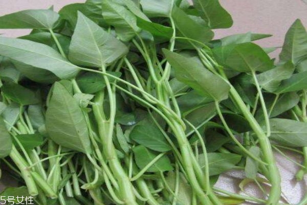 空心菜是什么菜呢 空心菜有什么功效嗎 空心菜是什么菜呢 空心菜有什么功效嗎