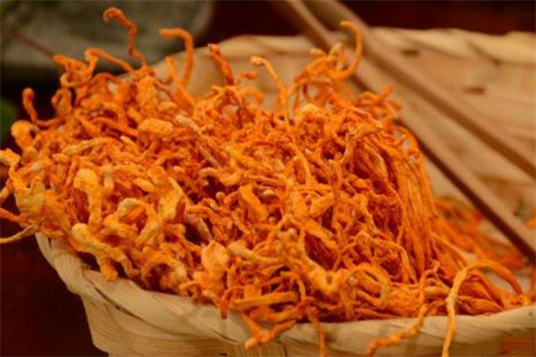 蟲草花能長期吃嗎 蟲草花能長期泡水喝嗎 蟲草花能長期吃嗎 蟲草花能長期泡水喝嗎