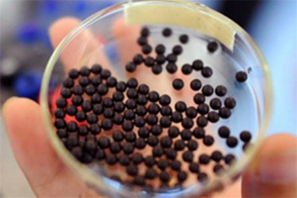 丹參滴丸能降血脂嗎 丹參滴丸有降血脂作用嗎 丹參滴丸能降血脂嗎 丹參滴丸有降血脂作用嗎