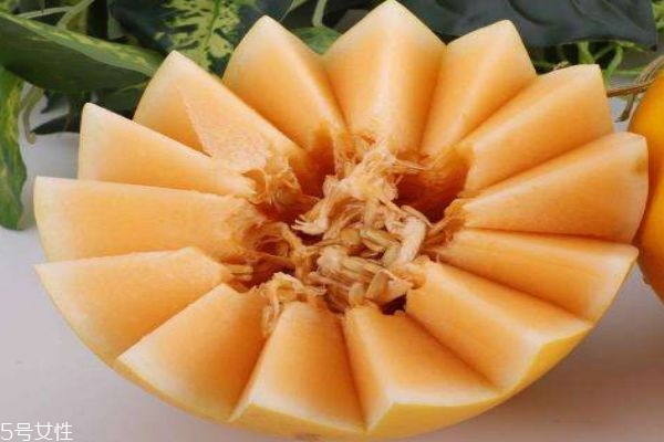 什么是黃金瓜呢 黃金瓜可以怎么吃呢 什么是黃金瓜呢 黃金瓜可以怎么吃呢