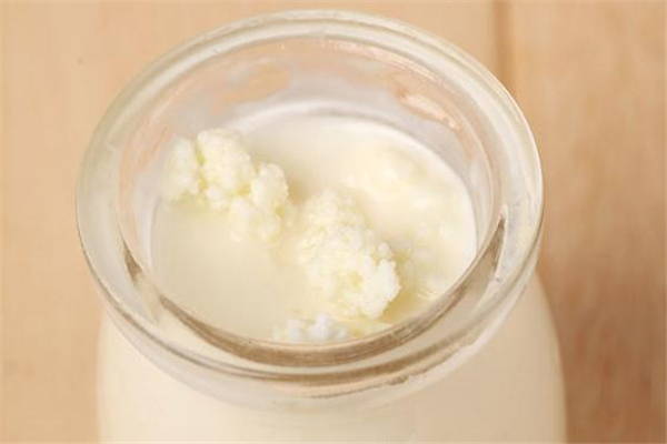 孕婦可以吃雪蓮菌嗎 雪蓮菌泡牛奶孕婦能喝嗎 孕婦可以吃雪蓮菌嗎 雪蓮菌泡牛奶孕婦能喝嗎