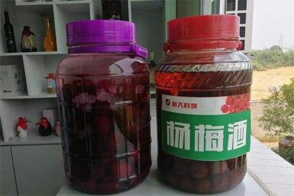 楊梅酒太酸了怎么辦 自制楊梅酒太酸了怎么處理 楊梅酒太酸了怎么辦 自制楊梅酒太酸了怎么處理