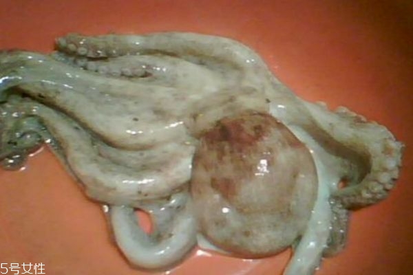 八爪魚怎么做好吃呢 八爪魚有什么營(yíng)養(yǎng)價(jià)值呢