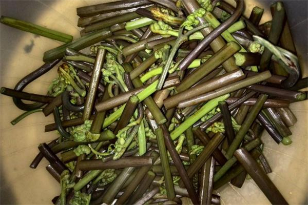 吃蕨菜過(guò)敏有什么癥狀 吃蕨菜過(guò)敏了怎么辦 吃蕨菜過(guò)敏有什么癥狀 吃蕨菜過(guò)敏了怎么辦