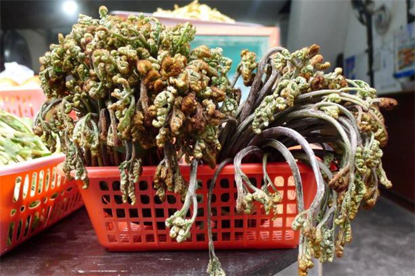 吃蕨菜過(guò)敏有什么癥狀 吃蕨菜過(guò)敏了怎么辦 吃蕨菜過(guò)敏有什么癥狀 吃蕨菜過(guò)敏了怎么辦