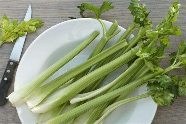 西芹可以生吃嗎 西芹生吃可以減肥嗎 西芹可以生吃嗎 西芹生吃可以減肥嗎