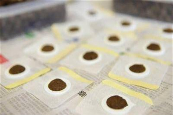 三伏貼起泡幾天能好 三伏貼起泡不要抓撓 三伏貼起泡幾天能好 三伏貼起泡不要抓撓