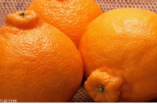 什么是丑橘呢 丑橘有什么營(yíng)養(yǎng)價(jià)值呢 什么是丑橘呢 丑橘有什么營(yíng)養(yǎng)價(jià)值呢