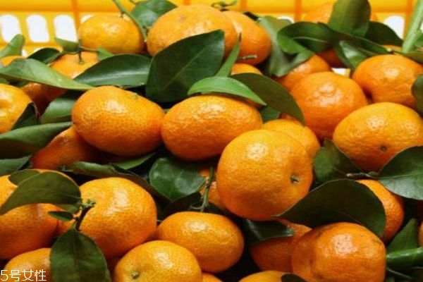 冰糖橘的功效有什么呢 冰糖橘一般成熟在幾月份呢 冰糖橘的功效有什么呢 冰糖橘一般成熟在幾月份呢