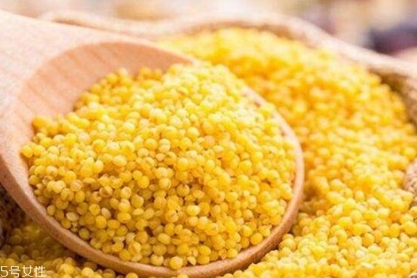 黃米是什么米呢 黃米和小米有什么區(qū)別呢