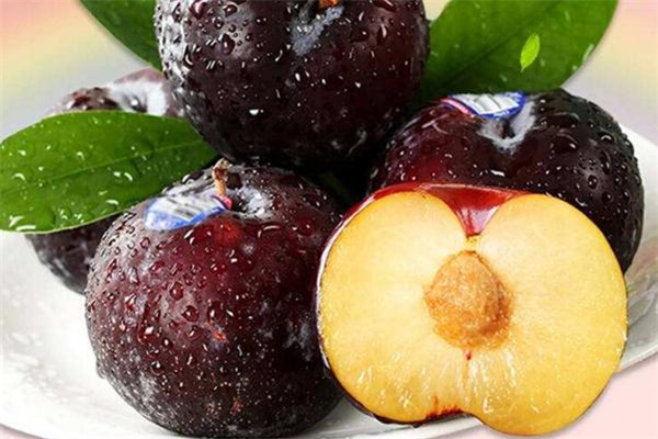 黑布林和什么榨汁好喝 黑布林怎么榨汁好喝 黑布林和什么榨汁好喝 黑布林怎么榨汁好喝