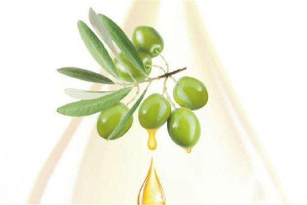 荷荷巴油會堵塞毛孔嗎 荷荷巴油是什么 荷荷巴油會堵塞毛孔嗎 荷荷巴油是什么