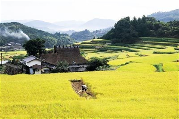 立秋吃什么食物 立秋怎么吃 立秋吃什么食物 立秋怎么吃