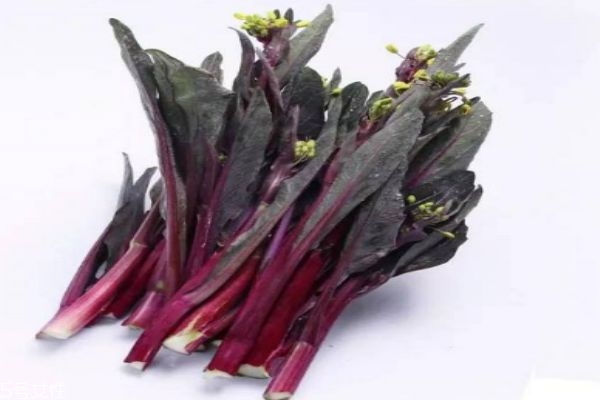 什么是紅菜苔呢 紅菜苔有什么營養(yǎng)價值呢 什么是紅菜苔呢 紅菜苔有什么營養(yǎng)價值呢