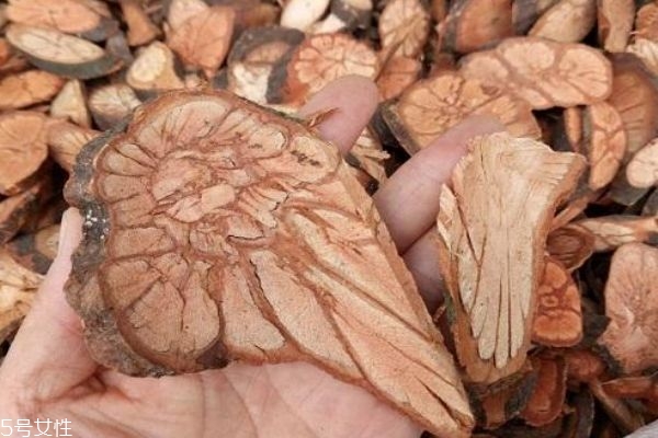 什么是分心木 分心木有什么作用呢 什么是分心木 分心木有什么作用呢