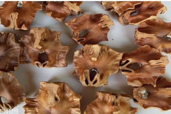 什么是分心木 分心木有什么作用呢 什么是分心木 分心木有什么作用呢