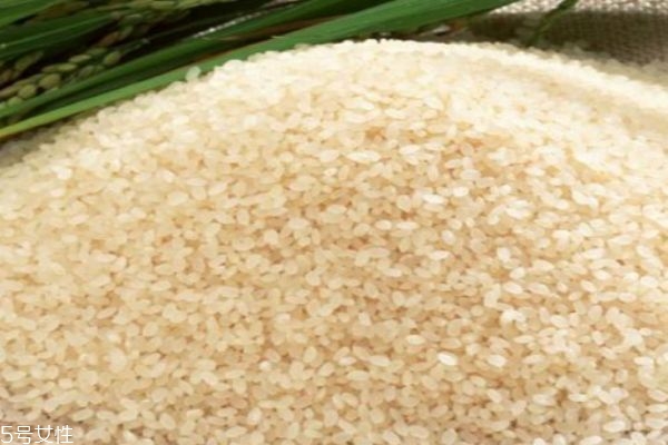 大米應該怎么做呢 大米的禁忌人群有什么