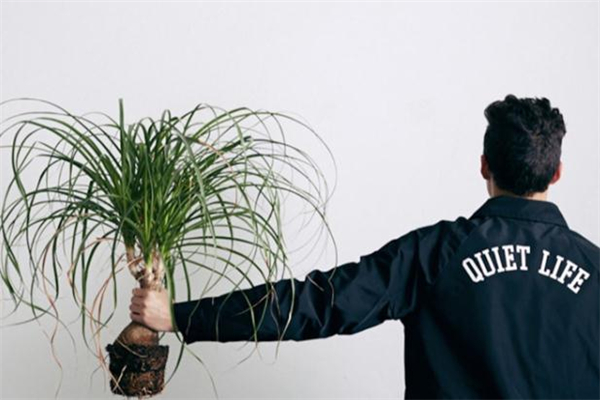 the quiet life是什么品牌-the quiet life是哪國的牌子 the quiet life是什么品牌-the quiet life是哪國的牌子