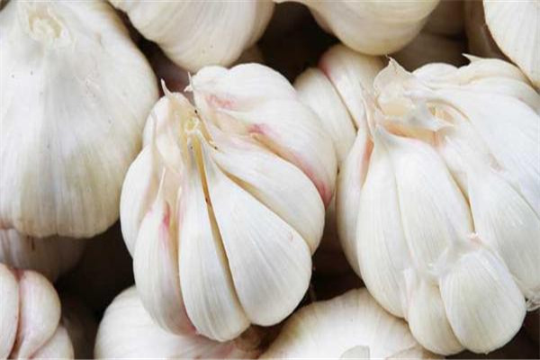 生吃大蒜能壯陽(yáng)嗎 生吃大蒜要適量 生吃大蒜能壯陽(yáng)嗎 生吃大蒜要適量