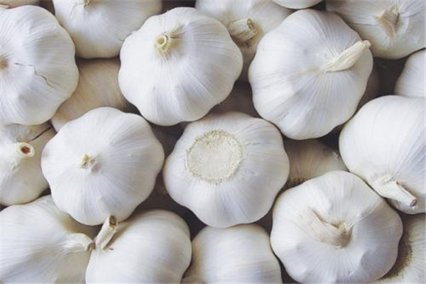 生吃大蒜能壯陽(yáng)嗎 生吃大蒜要適量 生吃大蒜能壯陽(yáng)嗎 生吃大蒜要適量