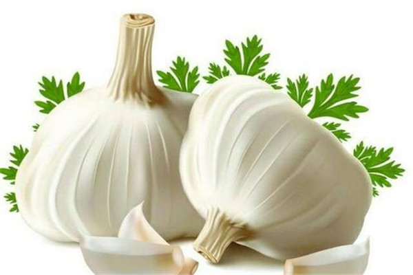 生吃大蒜對腎有什么好處 生吃大蒜不宜過量 生吃大蒜對腎有什么好處 生吃大蒜不宜過量