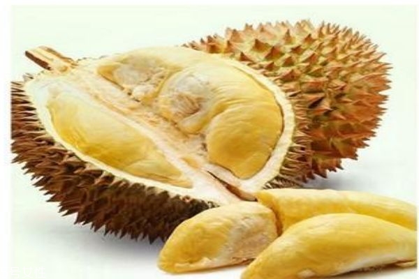 榴蓮的營養(yǎng)價(jià)值有什么呢 吃榴蓮有什么好處呢