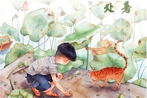 處暑可以上墳嗎 處暑應該注意什么