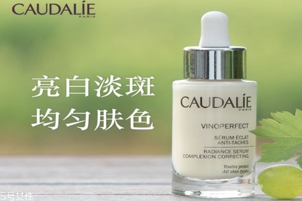 歐緹麗臻美亮白精華露好用嗎 歐緹麗臻美亮白精華心得 歐緹麗臻美亮白精華露好用嗎 歐緹麗臻美亮白精華心得